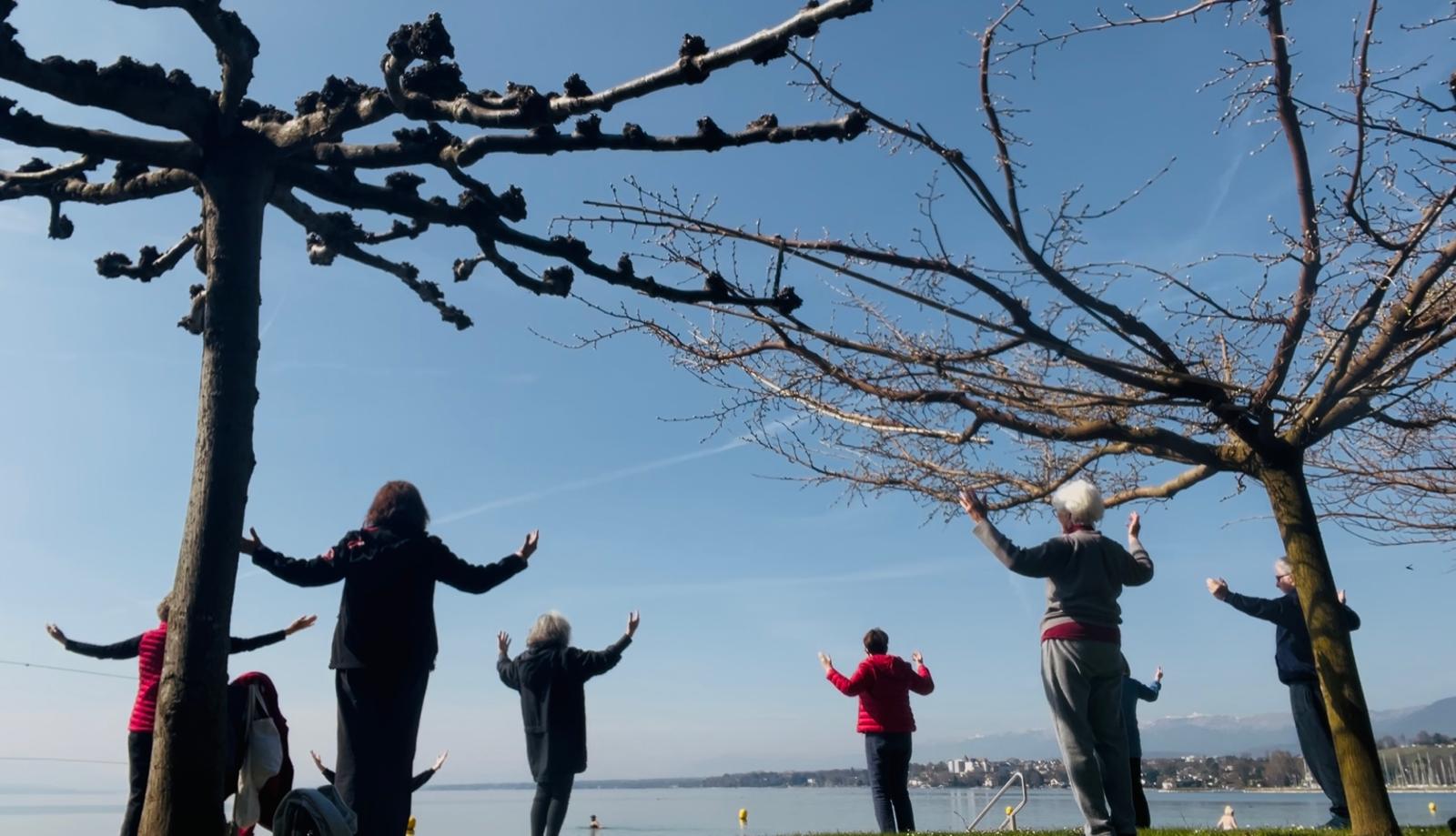 Outdoor movement